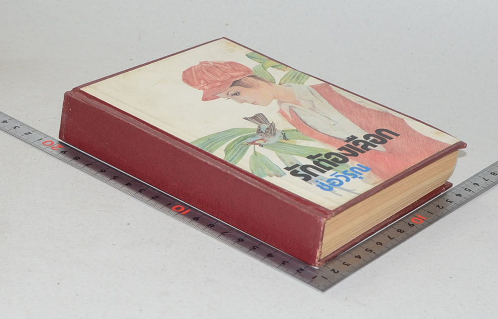 รักต้องเลือก (เล่มเดียวจบ)