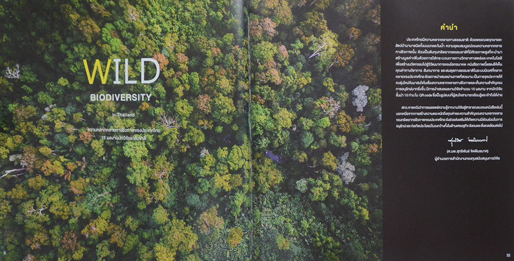 BIODIVERSITY: THE VARIETY OF LIFE