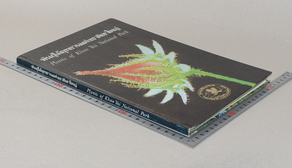 พันธุ์ไม้อุทยานแห่งชาติเขาใหญ่