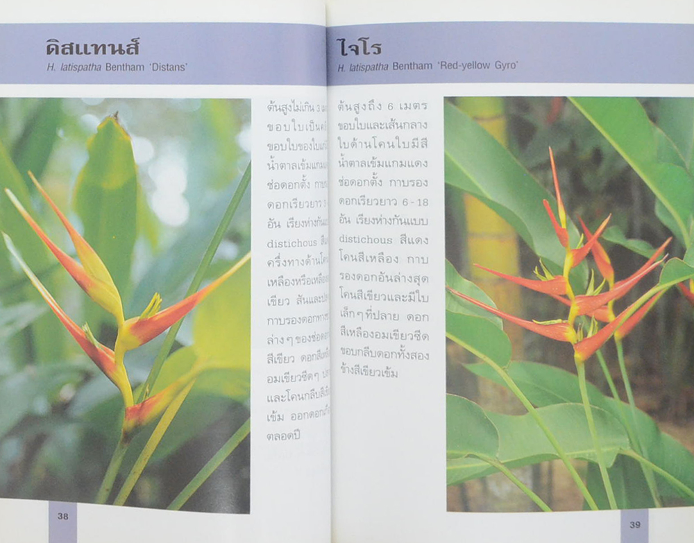 เฮลิโคเนีย (เล่มเล็ก)