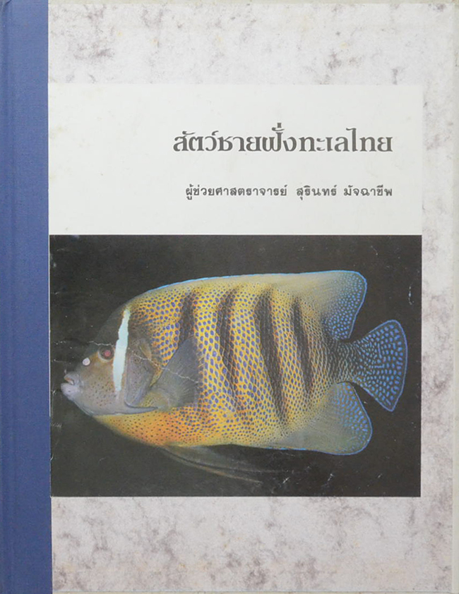 สัตว์ชายฝั่งทะเลไทย (ขายตามสภาพ)