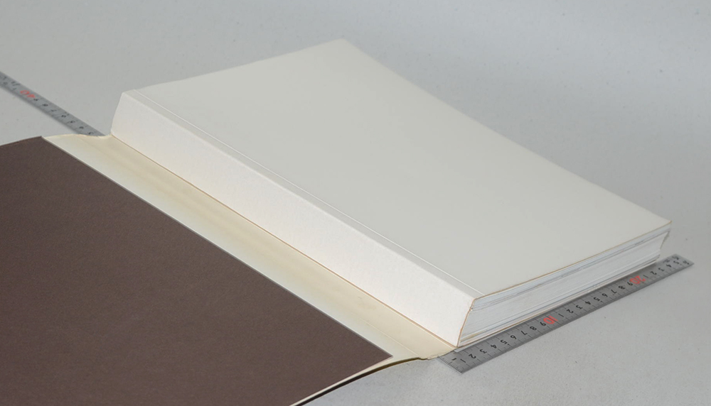 พลเอกชาติชาย ชุณหะวัณ (ชีวิตและงาน)