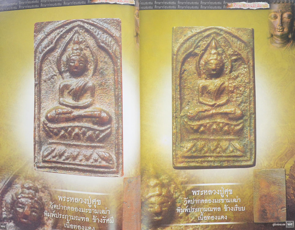 คู่มือนักสะสม