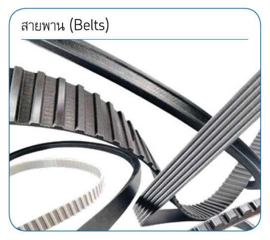 SKF HTD 5M-1145-9MM. (สั่งซื้อ 02-8157506, 02-9262005)