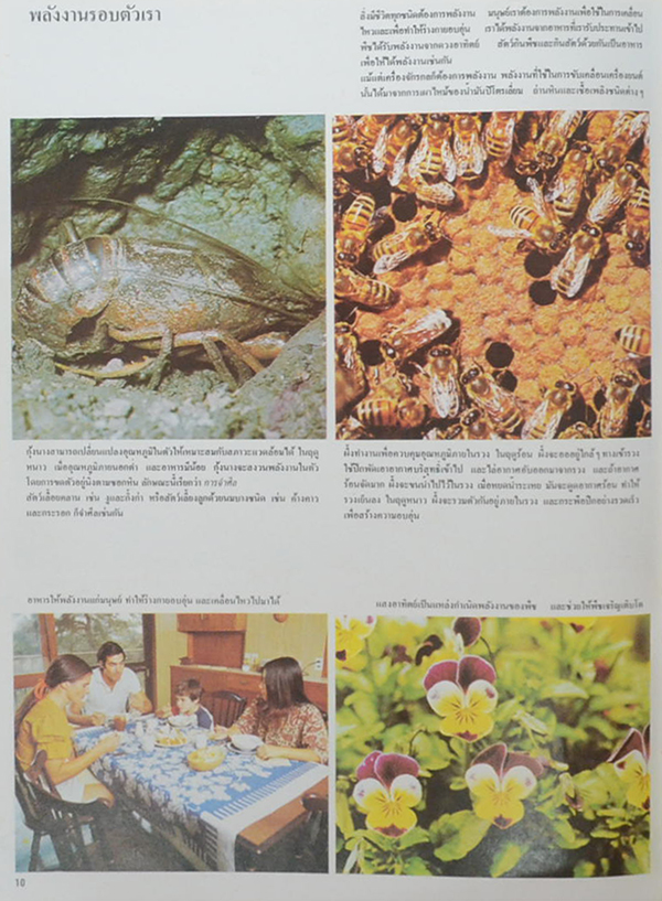 ขุมทรัพย์ความรู้สำหรับเด็ก พลังงานและอีเล็กโทรนิคส์