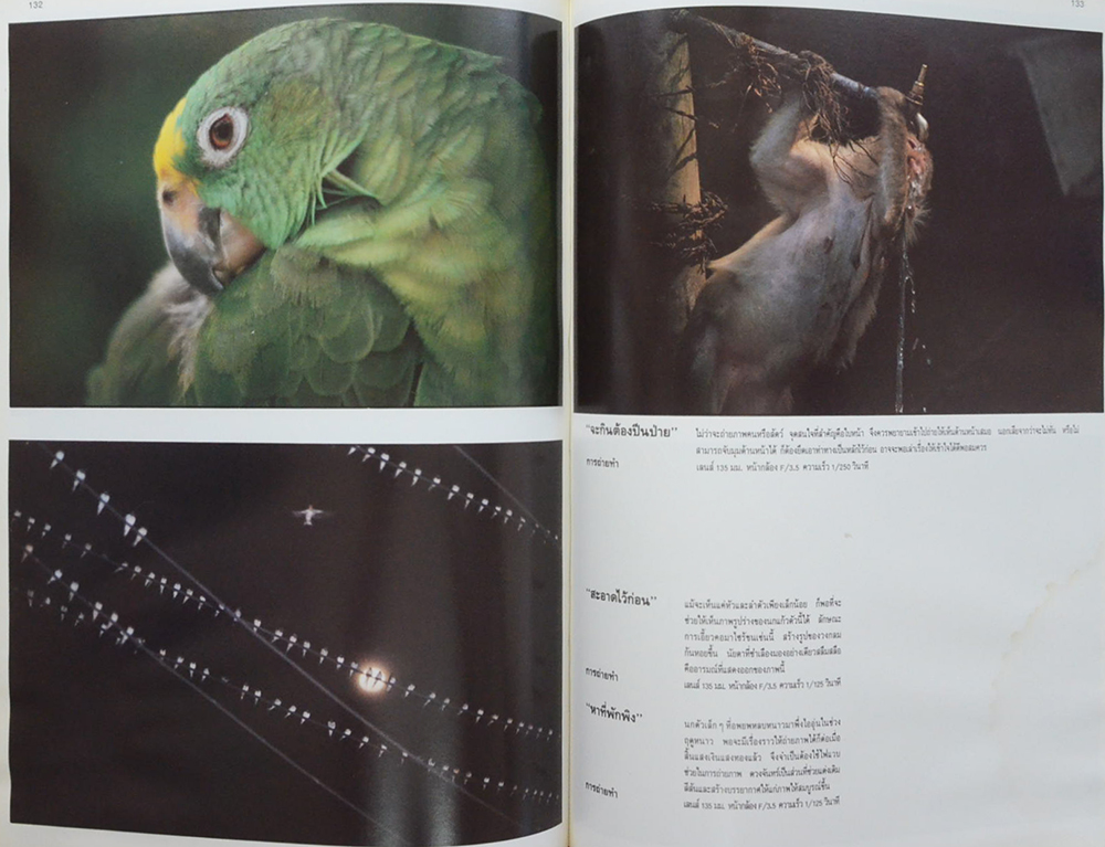 แนะแนวการถ่ายภาพ