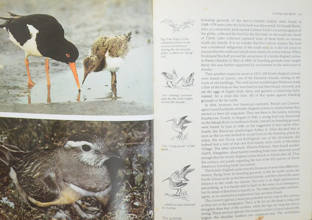 Grzimek’s ANIMAL LIFE ENCYCLOPEDIA