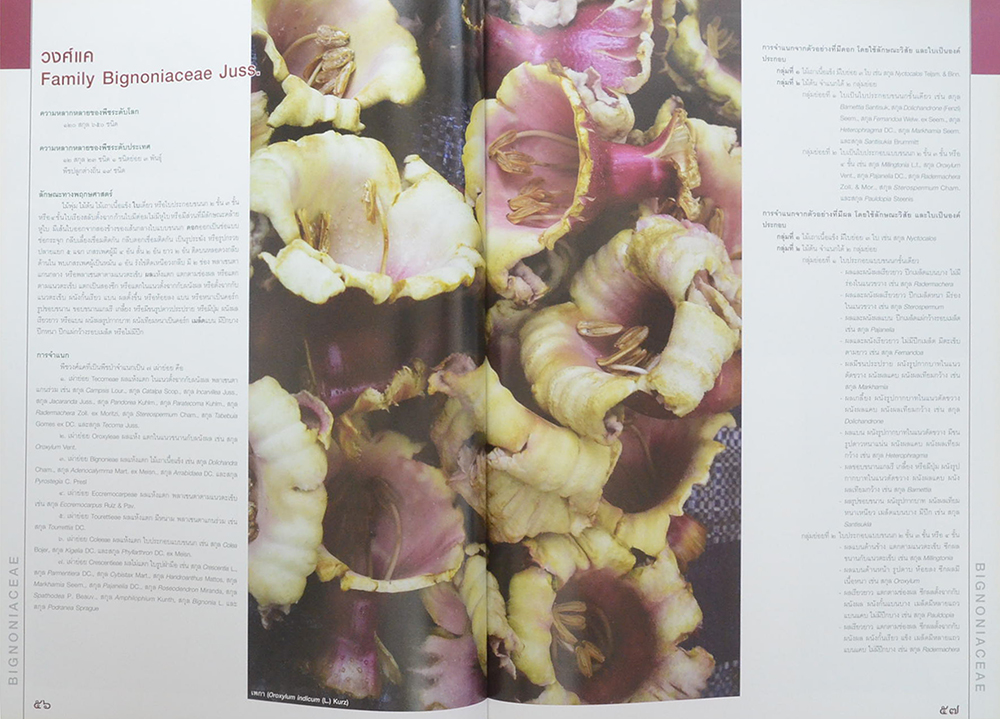 84 วงศ์พรรณไม้ เทิดไท้องค์ราชัน