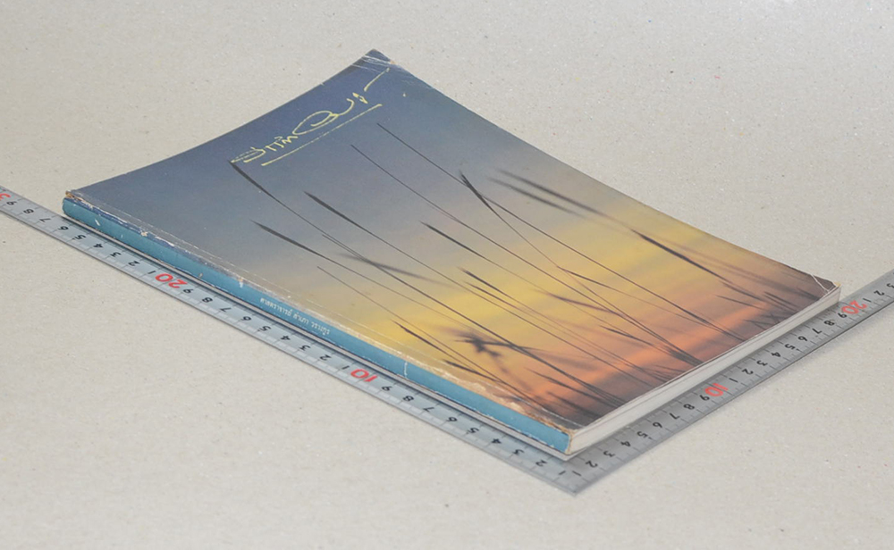 ศาสตราจารย์ สำเภา วรางกูร (ภัยจากอาหารประจำวัน)