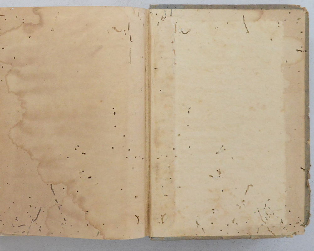 ประวัติศาสตร์สากล (เล่ม 11 / ขายตามสภาพ)