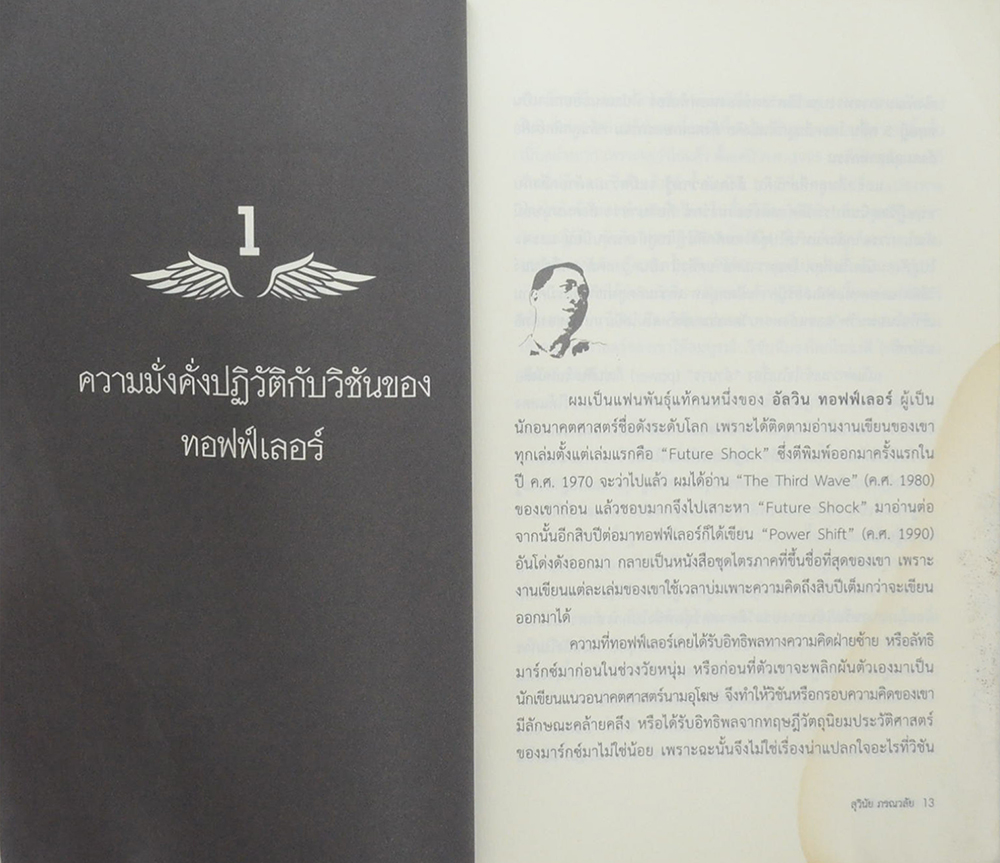 วิชั่นพันธมิตร (ขายตามสภาพ)