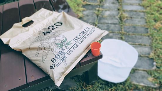 ดินปลูกพืชคุณภาพสูง Bob's Premium Outdoor (10 Liter) living soil ดินปลูกกลางแจ้ง