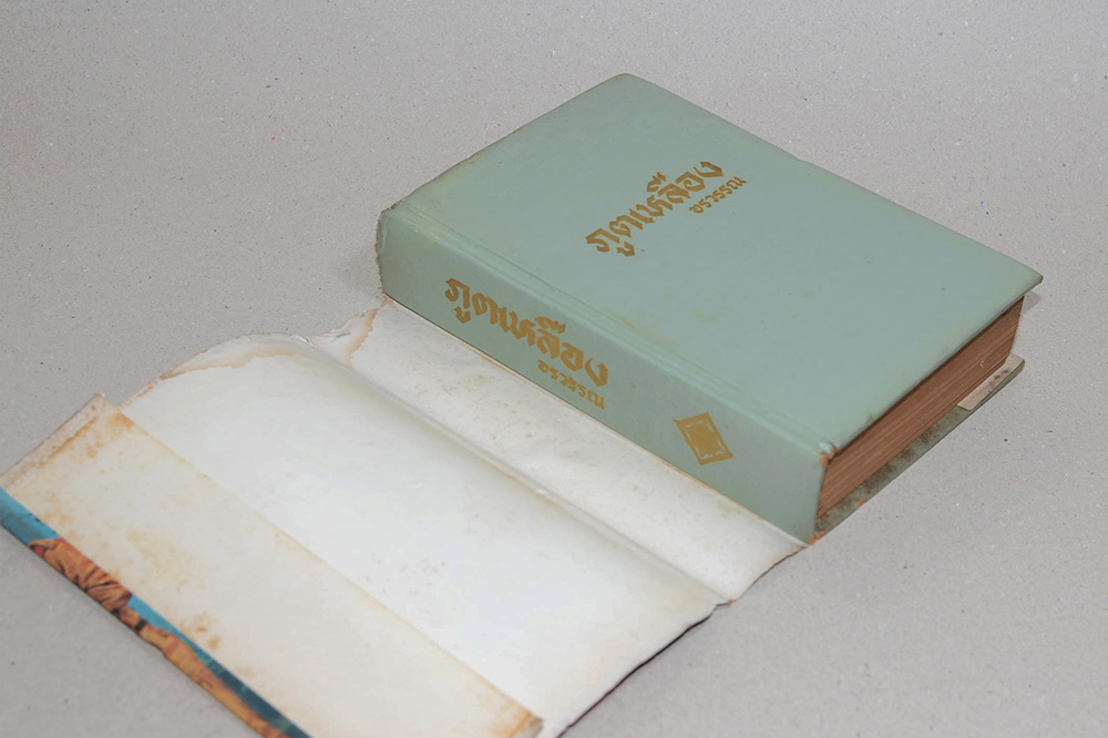 ภูตเหลือง (เล่ม 2 )