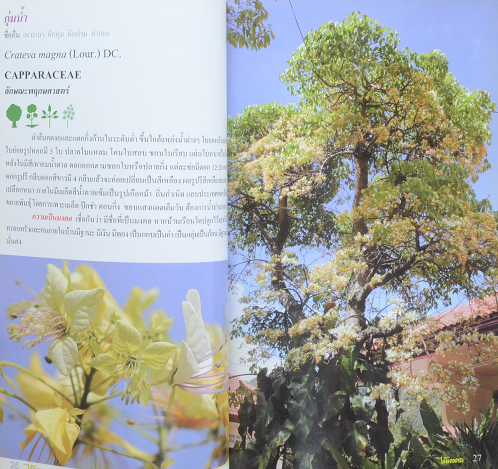 ร้อยพรรณพฤกษา ไม้มงคล