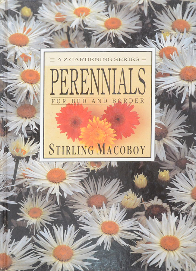 PERENNIALS FOR BED AND BORDER