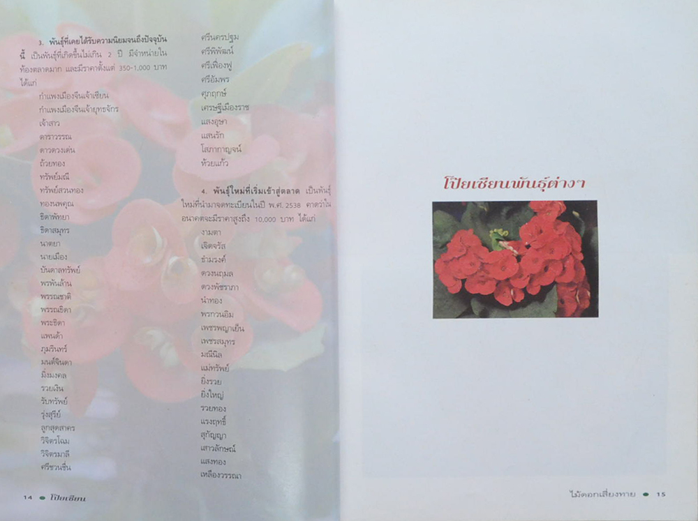 โป๊ยเซียน ไม้ดอกเสี่ยงทาย (เล่ม 2) (ขายตามสภาพ)