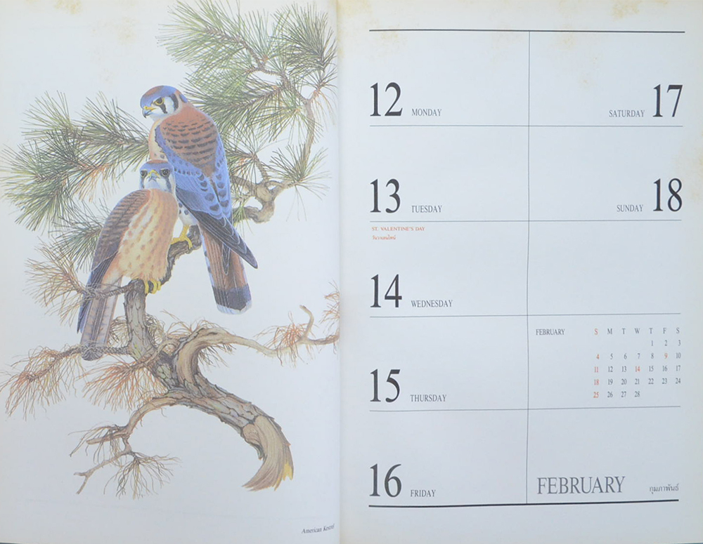 CENTRAL DIARY 1990 Exotic BIRDS (สมุดไดอารี่)