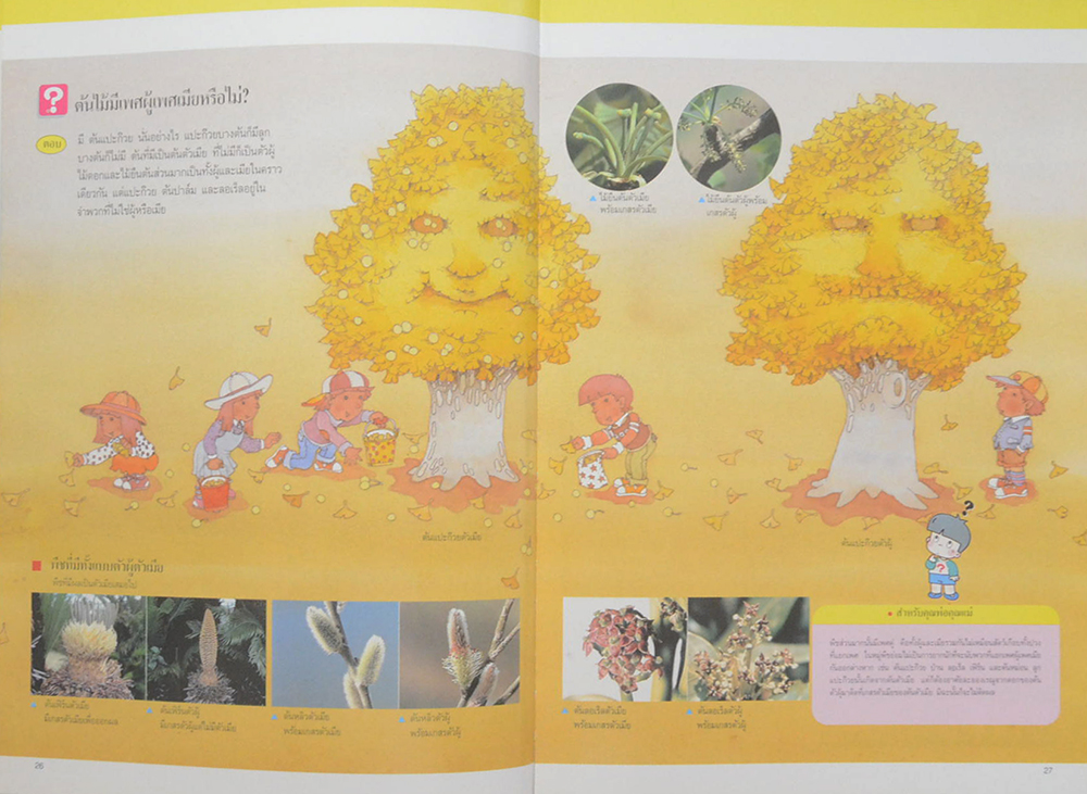 บุปผชาติและพฤกษา