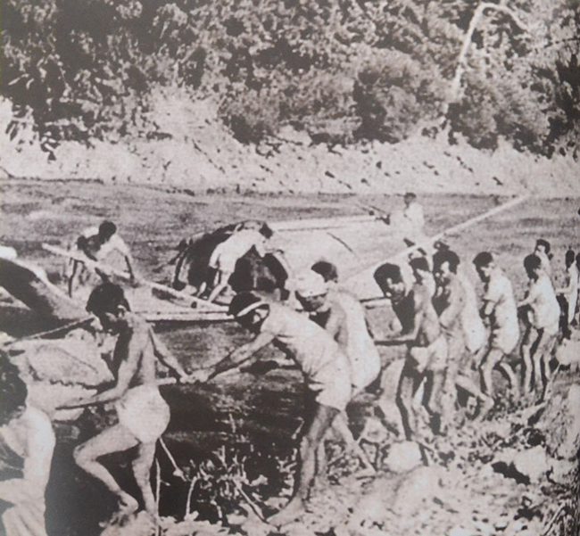 พรรณไม้เกียรติประวัติของไทย