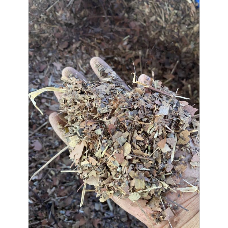 ใบไม้แห้งบด Leaf