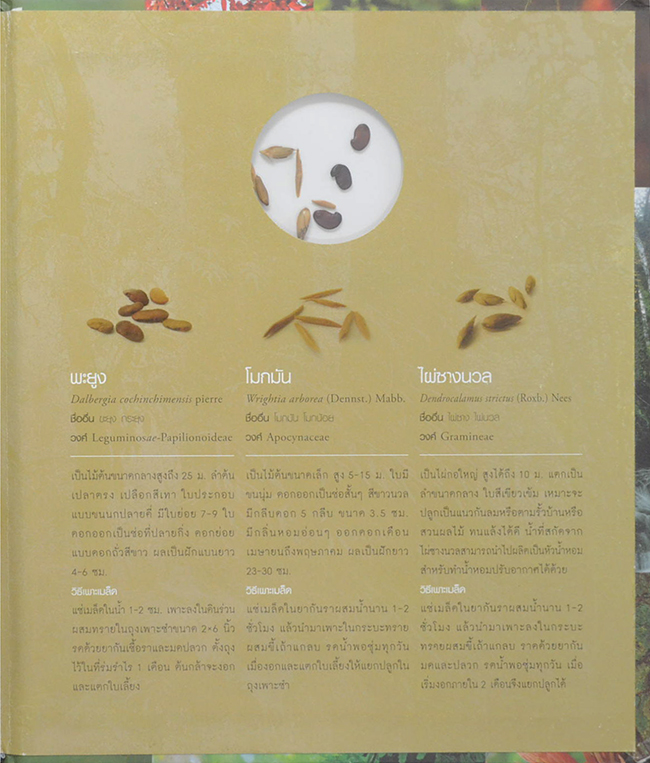 84 พรรณไม้ถวายในหลวง (มีเมล็ดพืช 3 ชนิดให้ทดลองปลูก / ขายตามสภาพ)