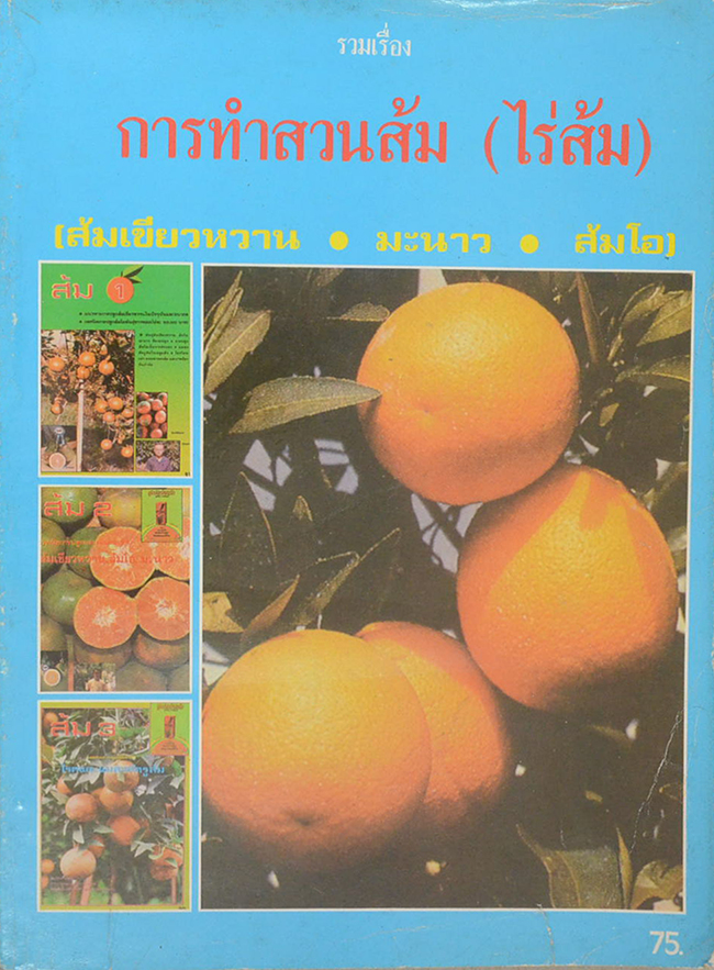 รวมเรื่องการทำสวนส้ม(ไร่ส้ม)