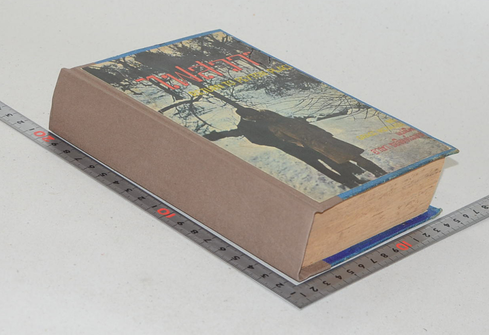 ไฟสวาท (เริงรัก ภาคจบ) (ขายตามสภาพ)