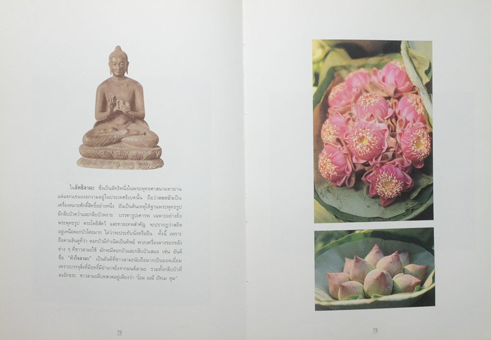 บัว ราชินีแห่งไม้น้ำ (ขายตามสภาพ)