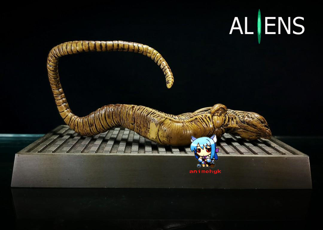 เอเลี่ยน ระเบิดอก Alien Xenomorph Chest Burster พร้อมฐาน 1/6 เรซิ่น