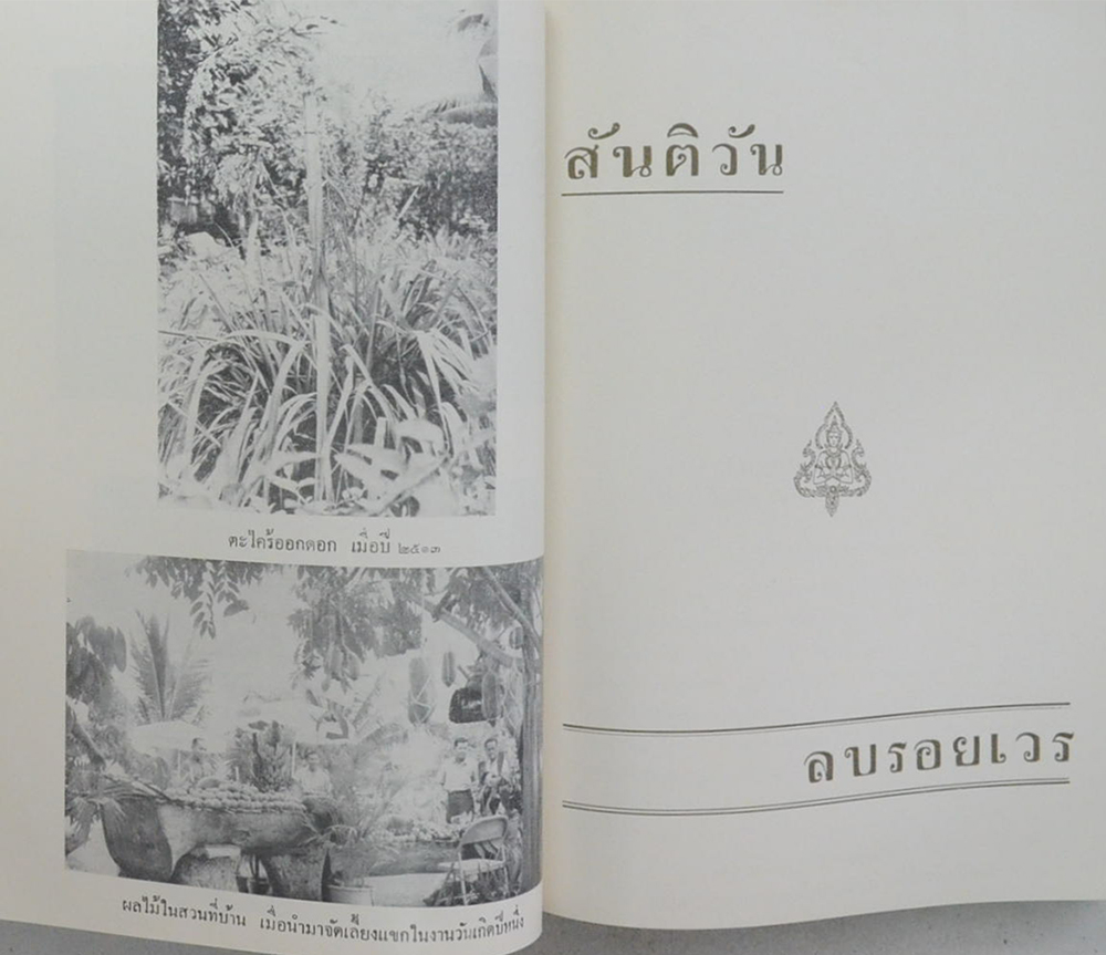 พลอากาศเอก ศิริ เมืองมณี (ลบรอยเวร)