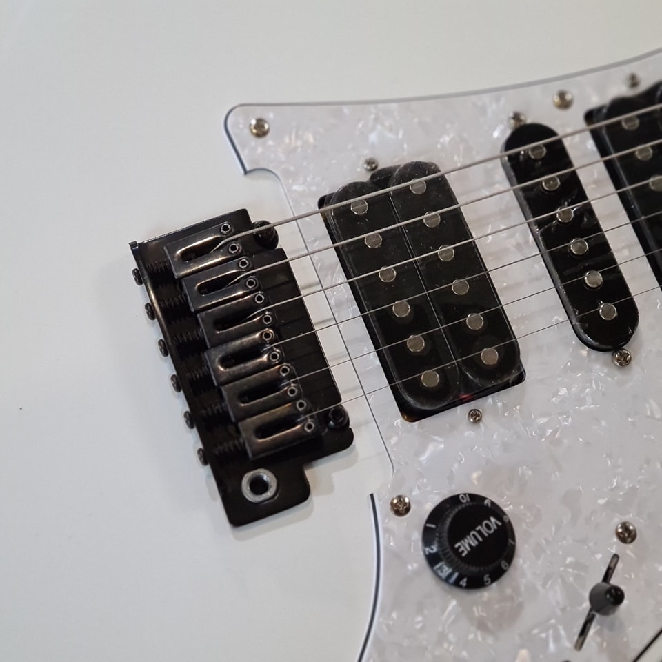 (BRAND NEW) Ibanez RGV250-WH