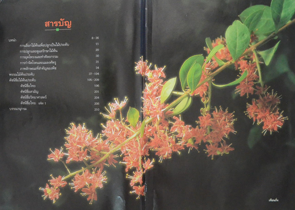 ไม้ต้นประดับ (เล่ม 2) (ขายตามสภาพ)