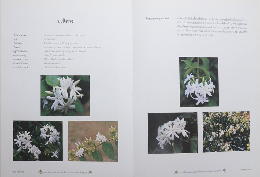 พรรณไม้หอม เฉลิมพระเกียรติพระบาทสมเด็จพระเจ้าอยู่หัว (ขายตามสภาพ)