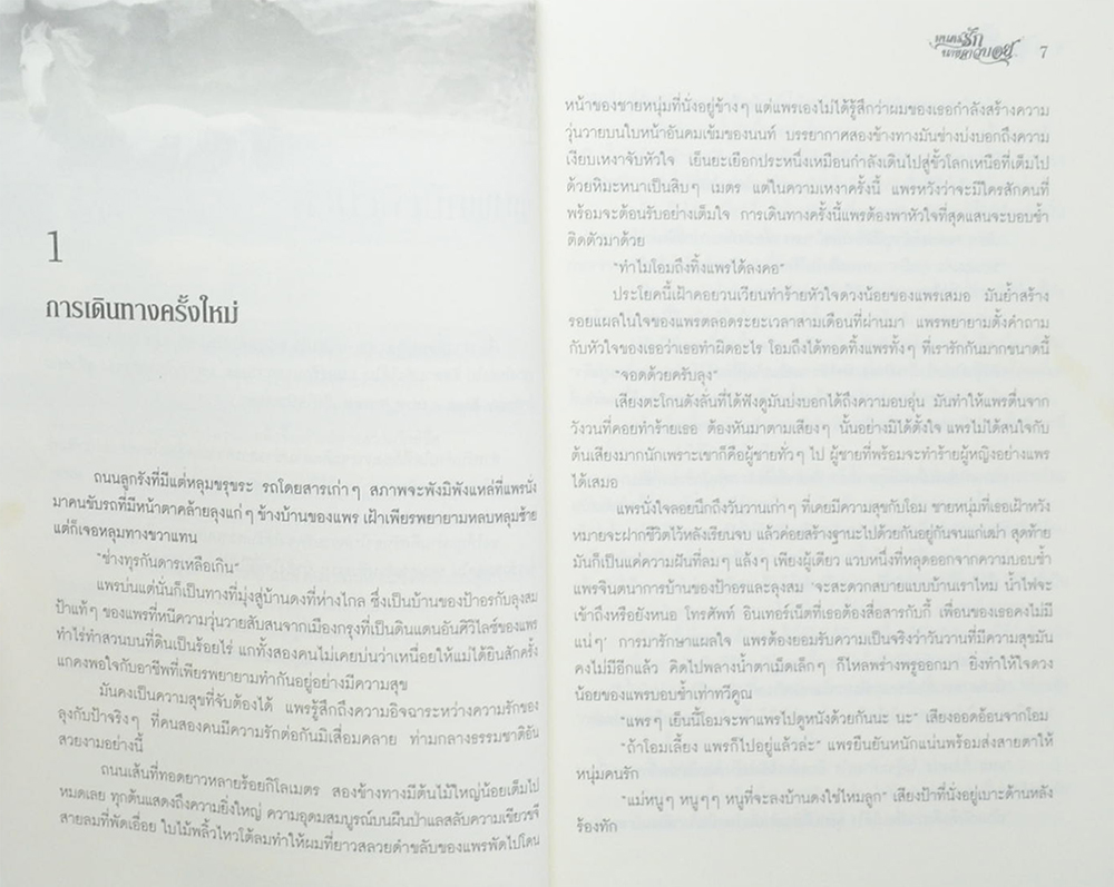 มนตร์รักนายคาวบอย (เล่มเดียวจบ)