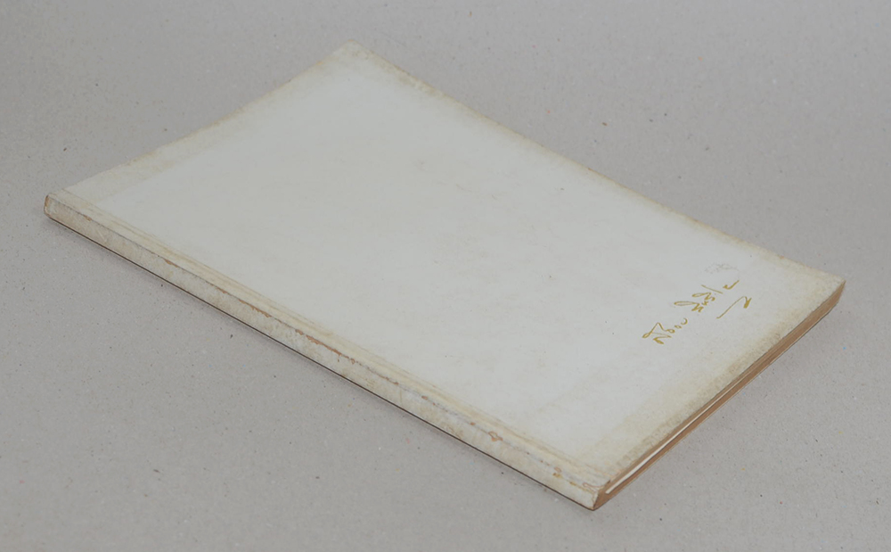 นายสงวน สิทธิไชย (แนวปฏิบัติในสติปัฏฐาน)