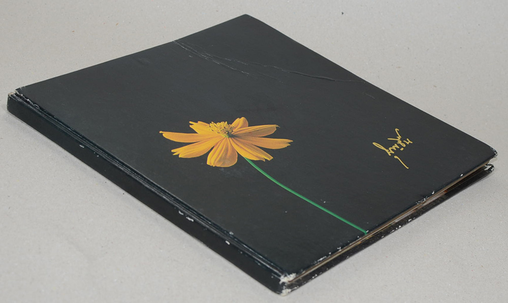 นางบุญชื้น เตชะกัมพุช (ปิโตเลียมในประเทศไทย)