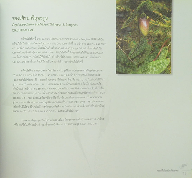 พรรณไม้เกียรติประวัติของไทย