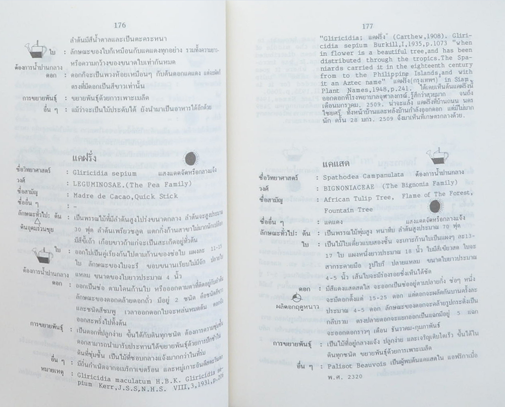 พจนานุกรมไม้ดอกไม้ประดับในเมืองไทย