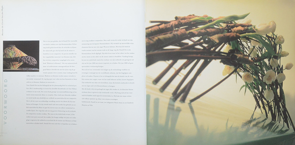 DANIEL OST LEAFING THROUGH FLOWERS