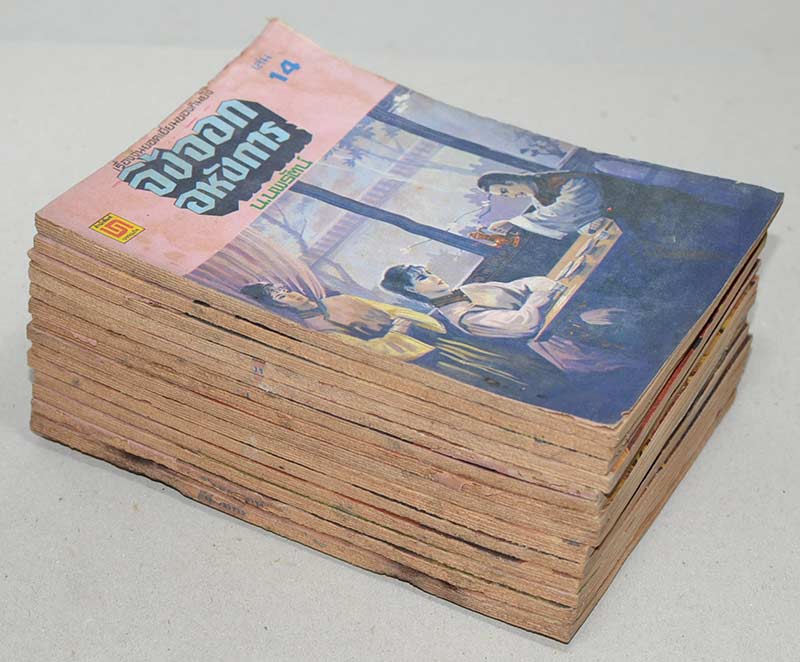 จิ้งจอกอหังการ (14 เล่ม / ไม่จบ)