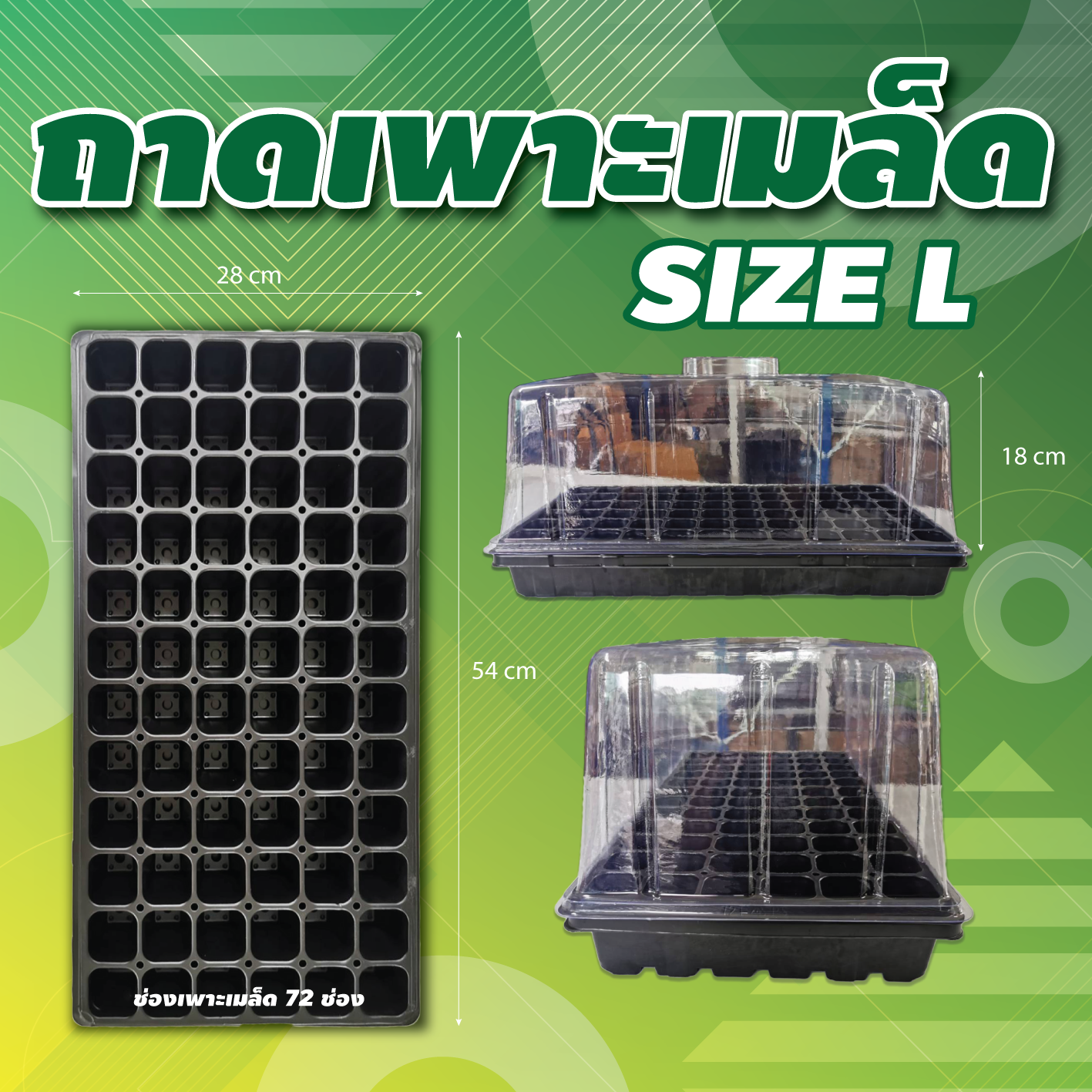 ถาดเพาะเมล็ด ถาดชำ ถาดโคลนนิ่ง 72 ช่องปลูก โดมสูงพิเศษ Greenhouse_High Dome_Large