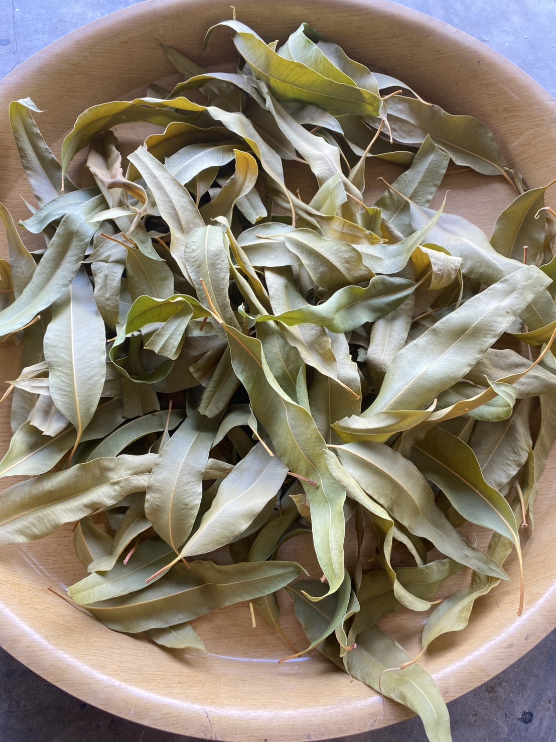 ใบยูคาลิปตัสอบแห้ง Eucalyptus