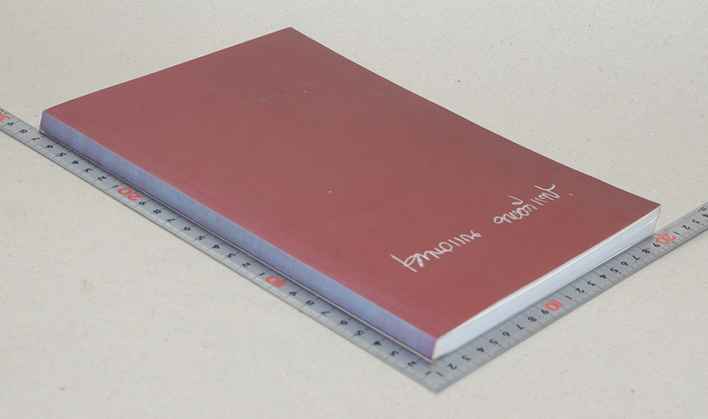 นายเพ็ญวรรณ ทองดีแท้ (โรคร้ายที่พรากชีวิต)