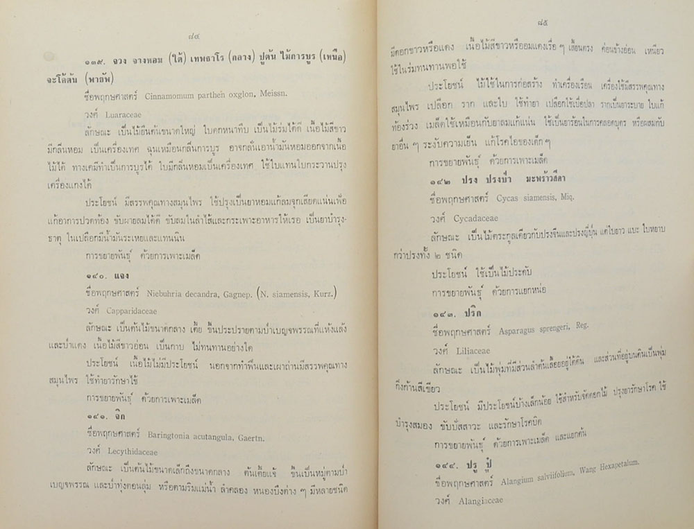 สิทธิเทศานนท์ (เรื่องต้นไม้ในวรรณคดี)