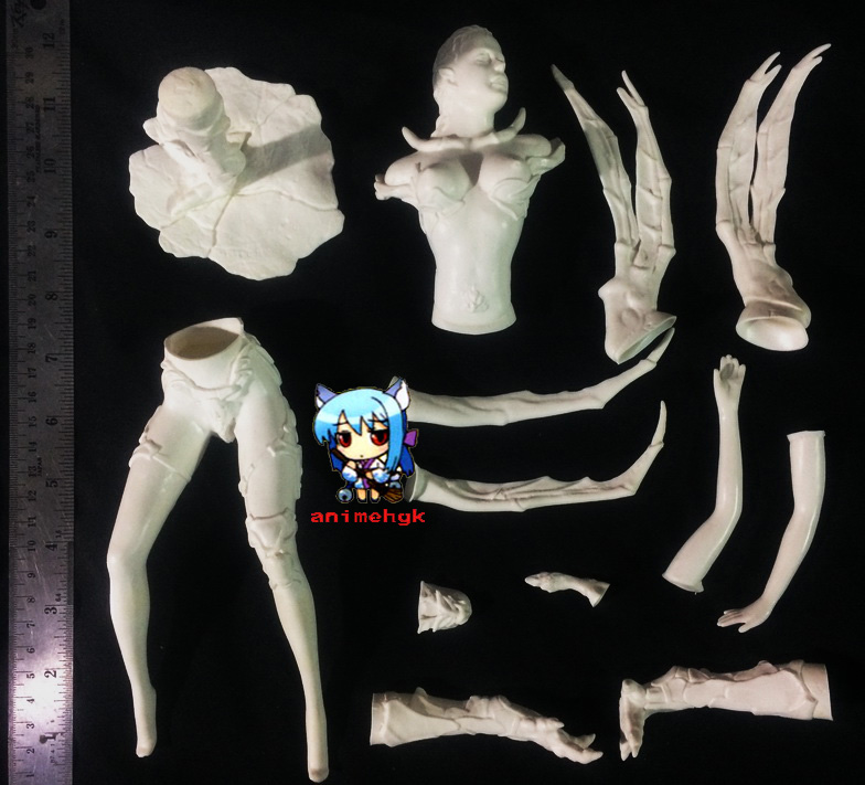 Edina Hawked Fairly 1/6