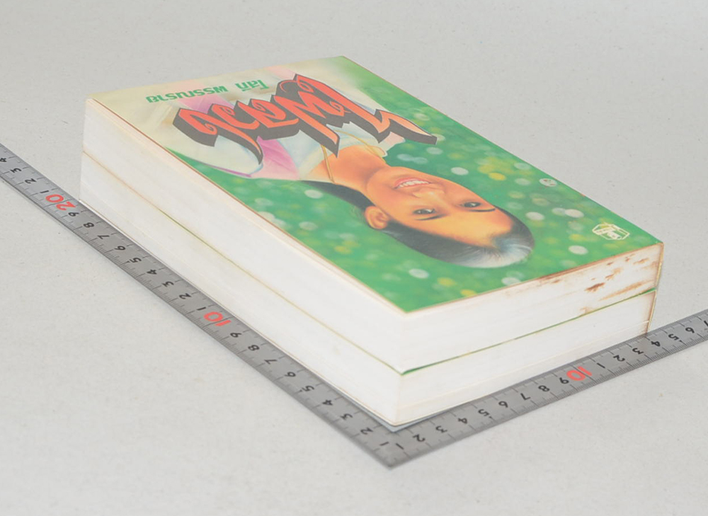 ไฟลวง (2 เล่มจบ)