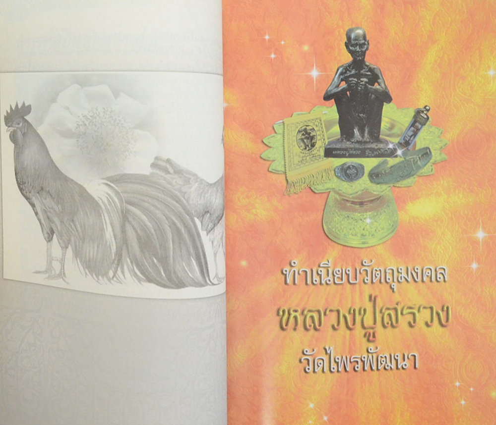ตามรอยธรรม หลวงปู่สรวง เทวดาเดินดิน