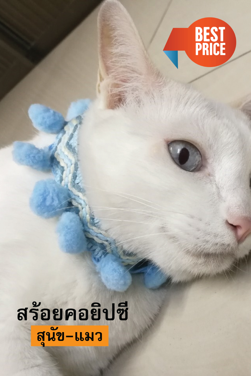 ปลอกคอสัตว์เลี้ยง รุ่นGYPSY 2cm. ฟ้า