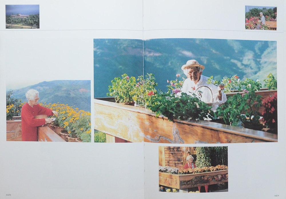 ดอยตุง (ขายตามสภาพ)