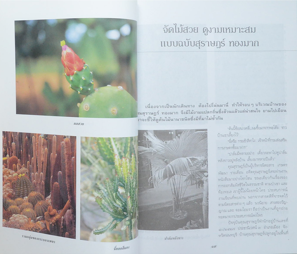 ไม้ประดับเศรษฐกิจ เล่ม 2 (ขายตามสภาพ)